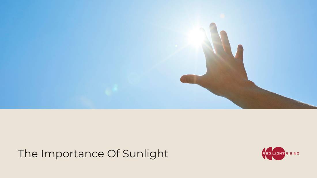 The Importance Of Sunlight