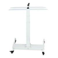 Horizontal Motorised Stand