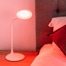 The Dusk Red Light Night Lamp