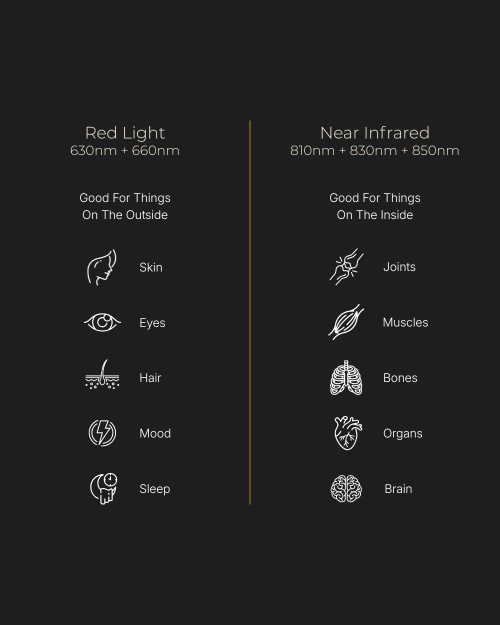Red Light Rising Advantage Red Light Therapy Panel