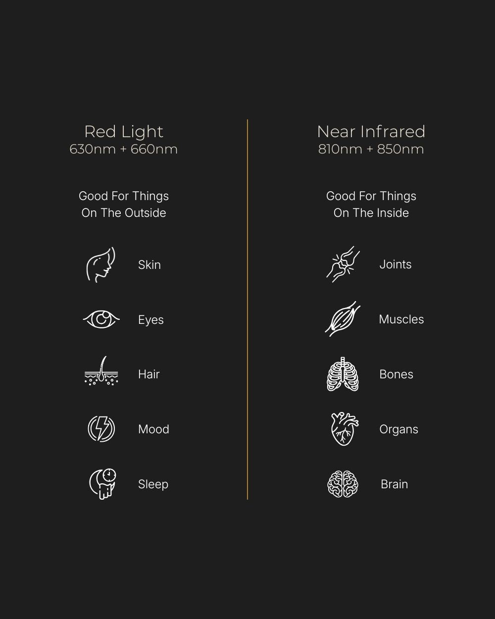 Red Light Rising Half Stack Red Light Therapy Panel